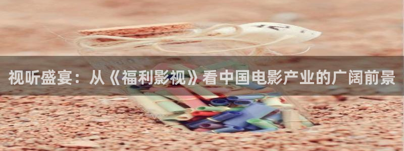 桔子照片