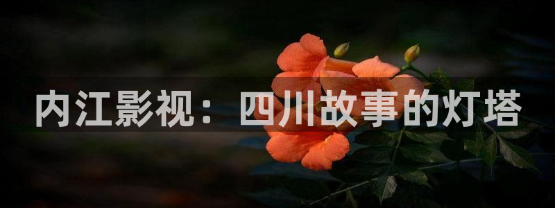 桔子视频软件下载