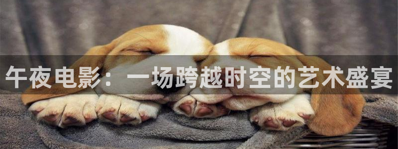 桔子影视官网