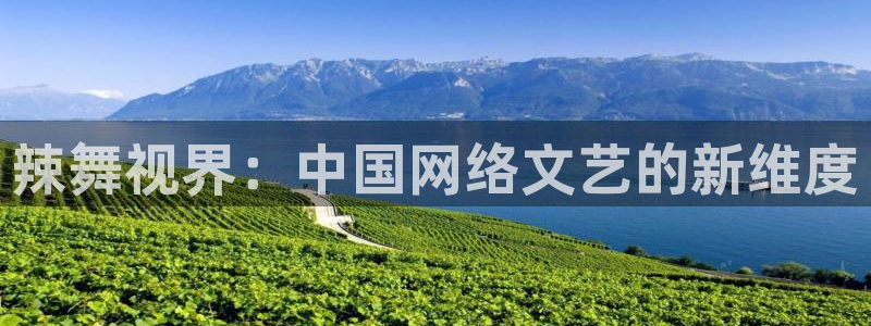 桔子视频入口