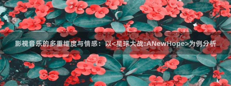 桔子视频看看