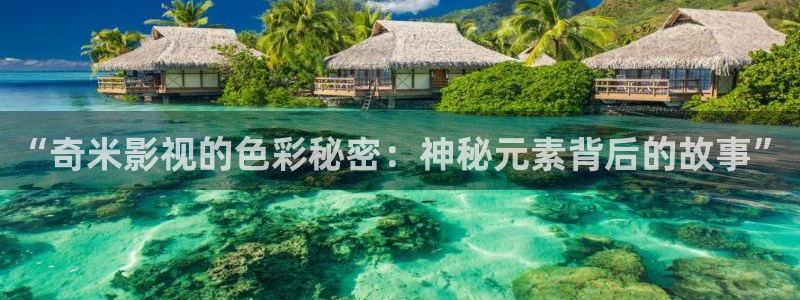 桔子视频网页版